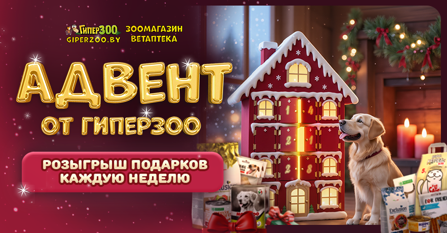 Адвент приключения с ГиперЗОО: розыгрыши подарков для ваших пушистиков